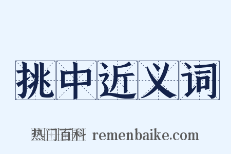 挑中近义词是什么意思的图片